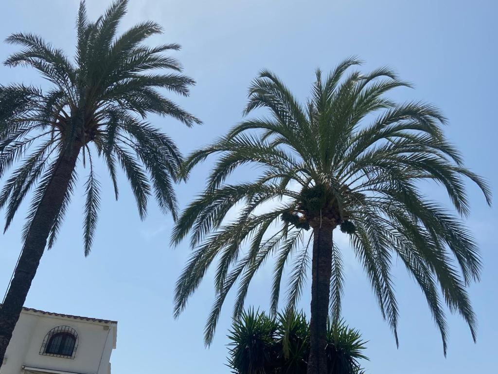 Apartamento Urb Oasis Park II Denia, Las Marinas Kültér fotó